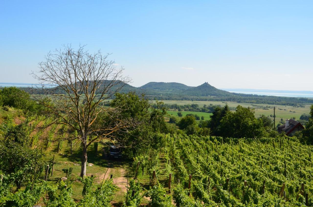 Grand Cru 3. Vendeghaz * Hegymagas