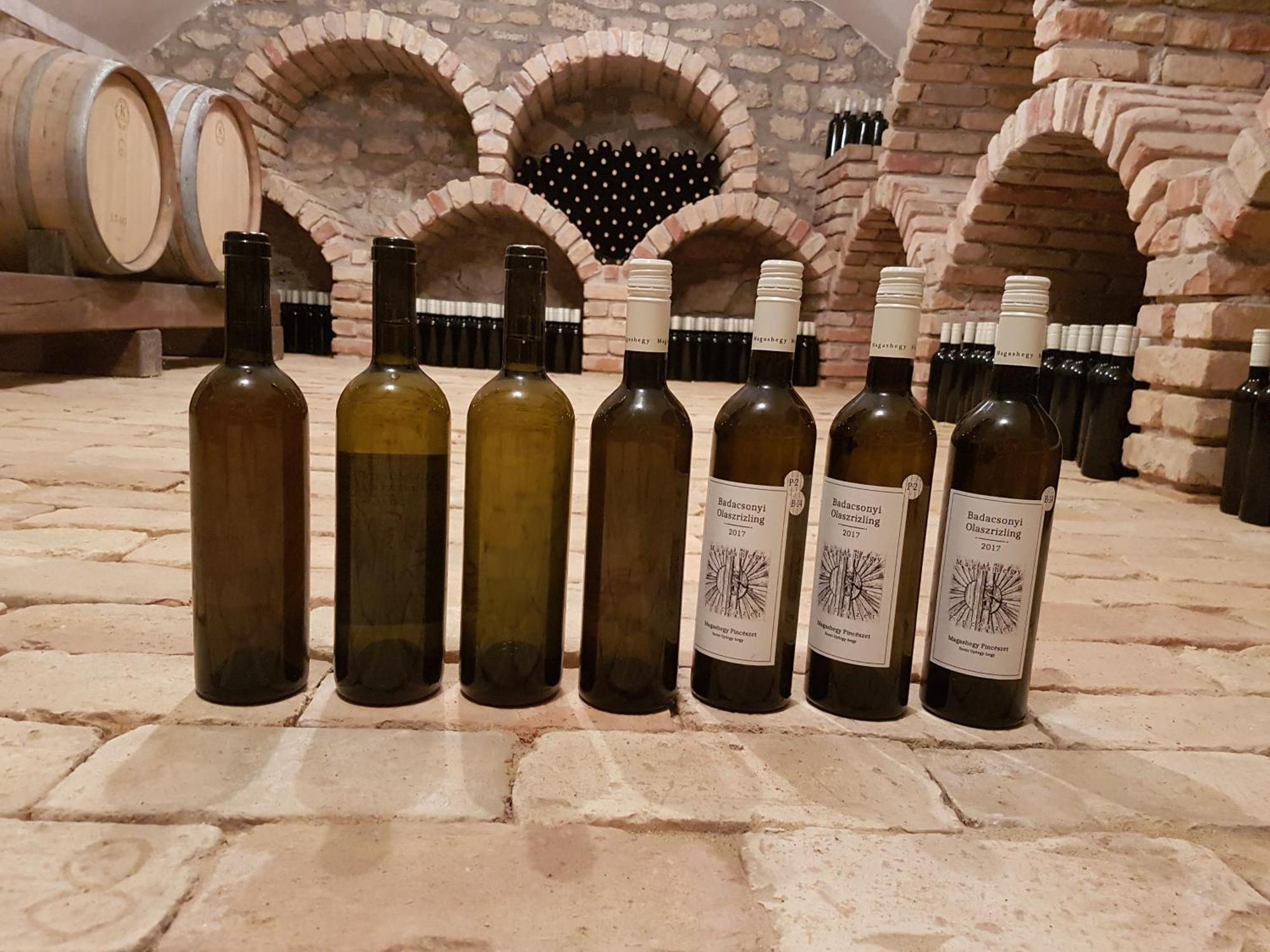 Hébergement de vacances Grand Cru 3. Hegymagas